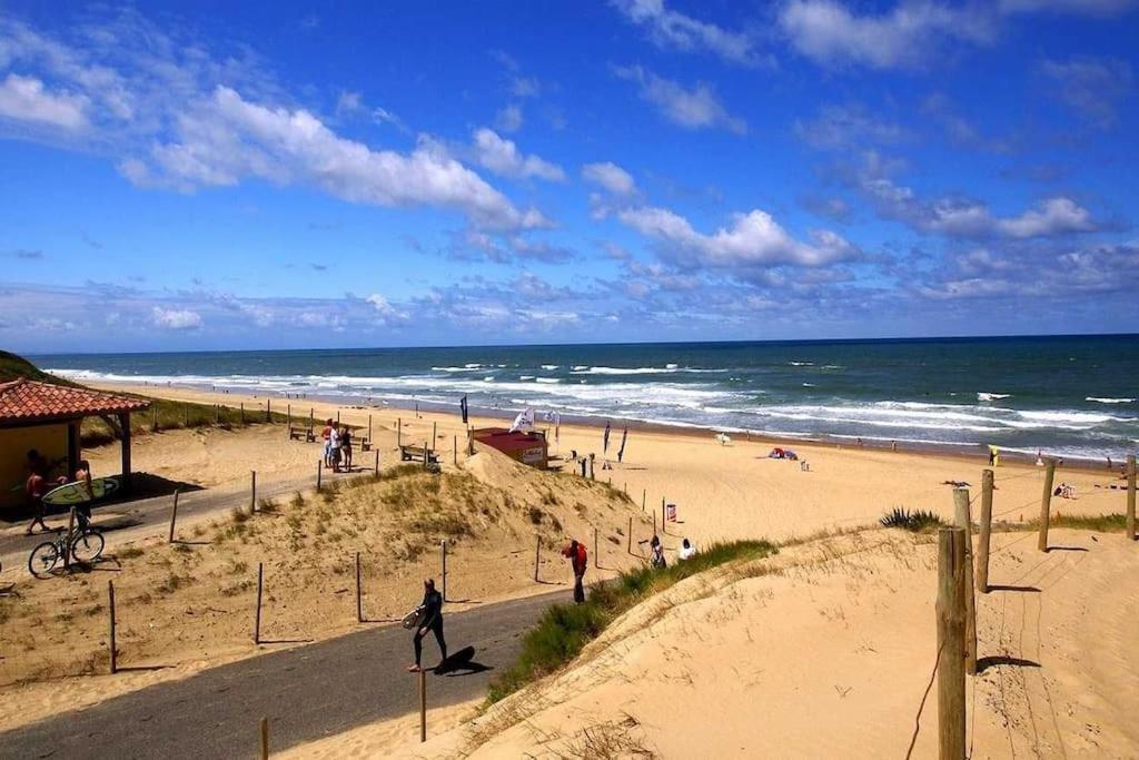 Dune Blanche 300 M De L'Ocean, Appartement Neuf 6 Personnes Seignosse Eksteriør billede